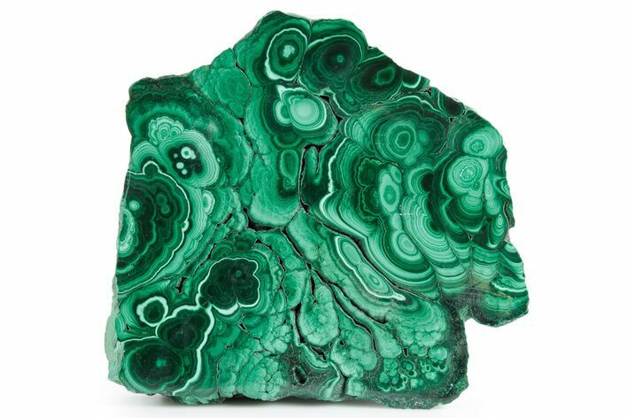 Flowery Polished Malachite Slab - DR Congo #360753